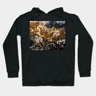 Milkweed Seeds In The Sun Hoodie